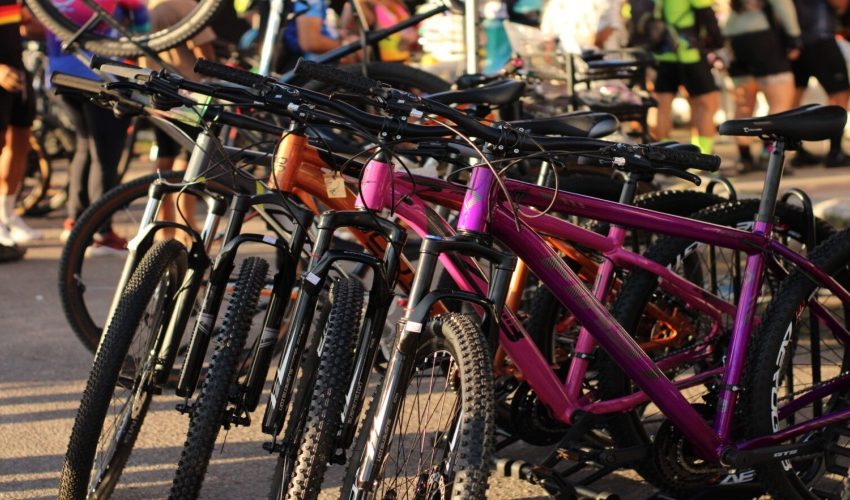 IMG_7787-1-1536x1024